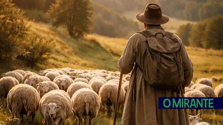 Pastor de ovelhas escondeu-se dois anos em Abrantes e vai cumprir pena por abuso de menores