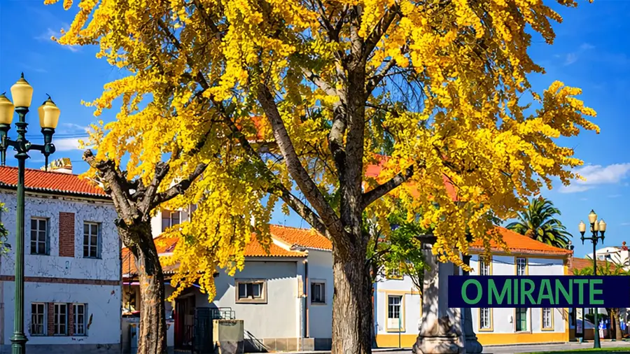 Chamusca junta poesia, música e natureza em tarde cultural