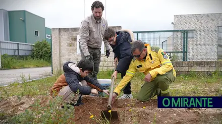 Alunos de Coruche plantam sobreiros para assinalar Dia das Florestas