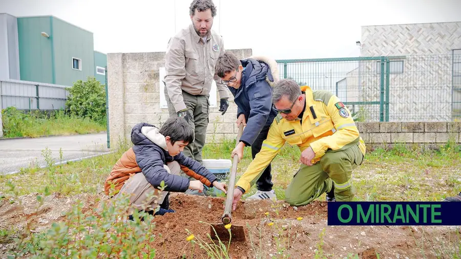 Alunos de Coruche plantam sobreiros para assinalar Dia das Florestas