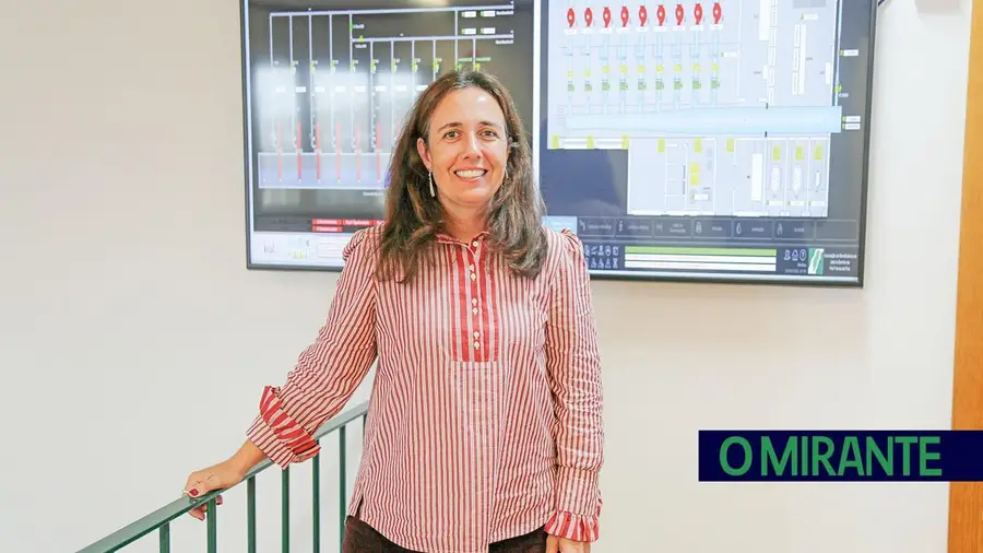 Cheias poupam principais culturas da Lezíria Grande mas deixam prejuízos de 3,5 milhões