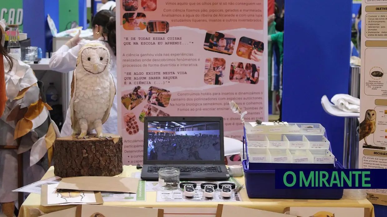 Jovens cientistas deram voz à inovação em Santarém