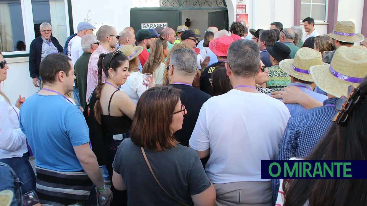 Rota das Adegas voltou a encher Alcanhões de cor, tradição e bom vinho