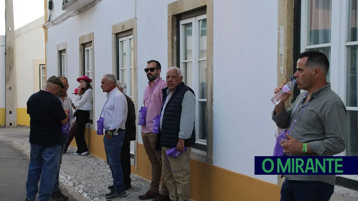 Rota das Adegas voltou a encher Alcanhões de cor, tradição e bom vinho