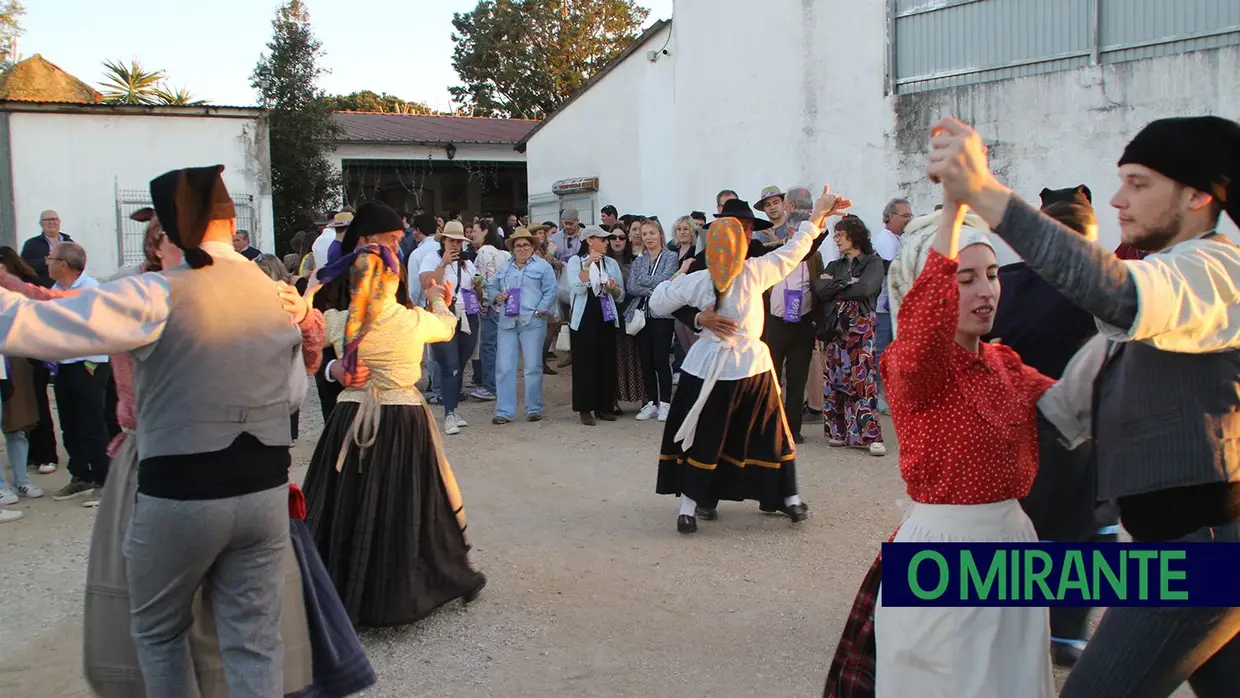 Rota das Adegas voltou a encher Alcanhões de cor, tradição e bom vinho