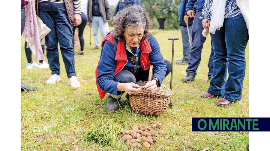Túberas levam participantes ao terreno no Encontro de Primavera em Coruche