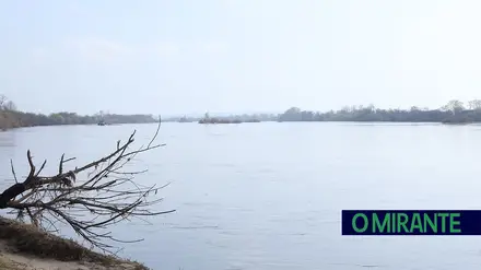 proTEJO volta à carga e diz que é “inaceitável” arquivamento de queixa sobre o Tejo