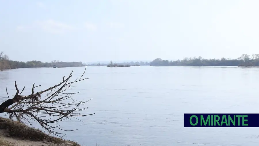 proTEJO volta à carga e diz que é “inaceitável” arquivamento de queixa sobre o Tejo