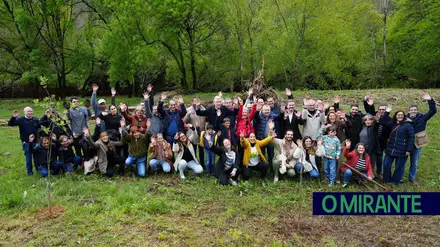 Ourém planta futuro com projecto que quer devolver vida às áreas ardidas