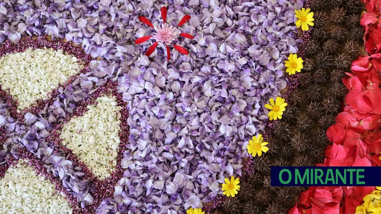 Igrejas e capelas do Sardoal decoradas para celebrar Semana Santa