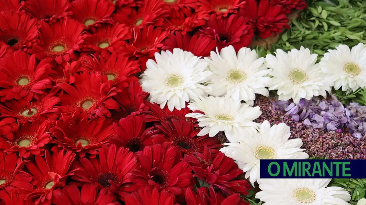 Igrejas e capelas do Sardoal decoradas para celebrar Semana Santa