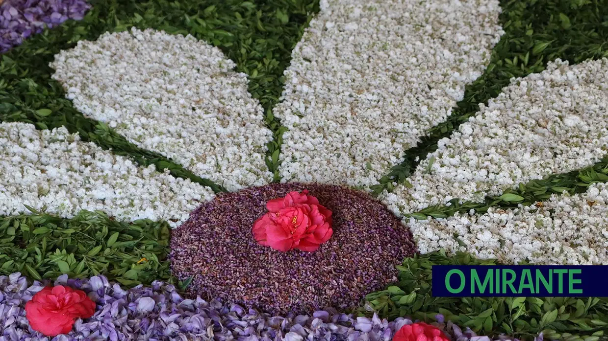 Igrejas e capelas do Sardoal decoradas para celebrar Semana Santa