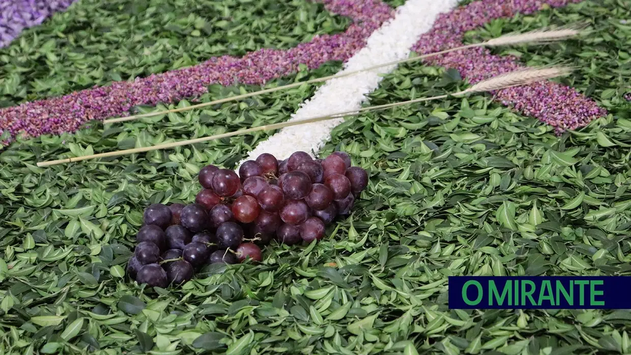 Igrejas e capelas do Sardoal decoradas para celebrar Semana Santa