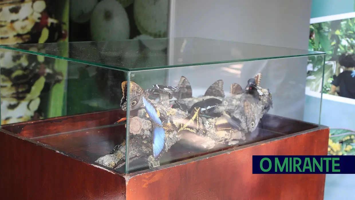 Constância em festa no fim de semana de Páscoa