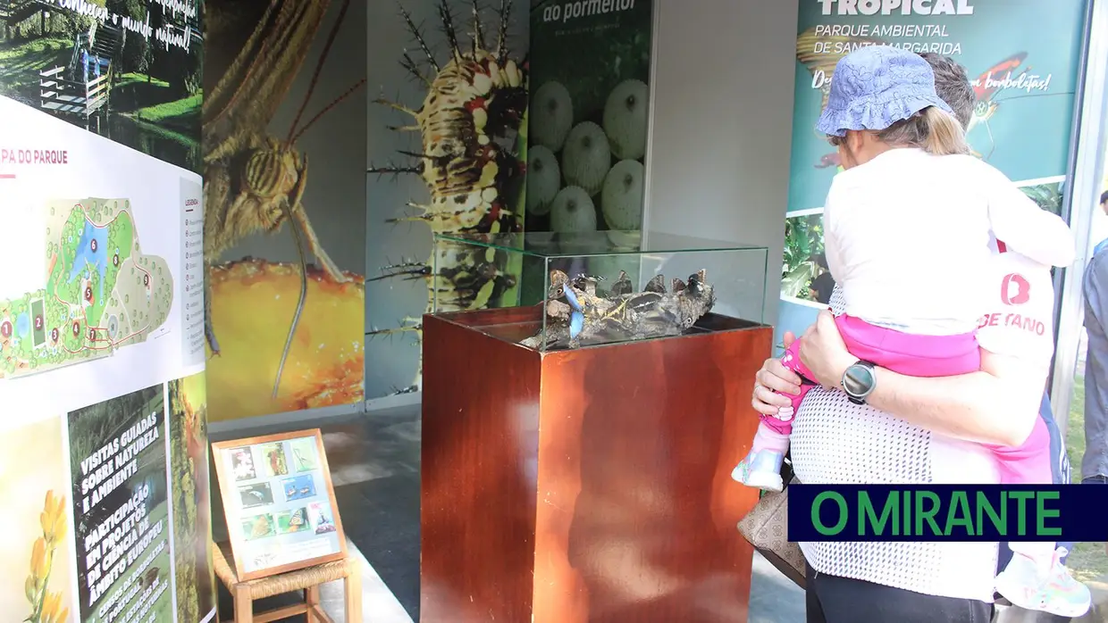 Constância em festa no fim de semana de Páscoa