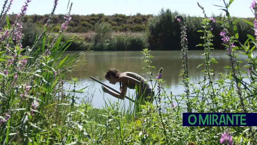 Alpiarça participa em iniciativa mundial de observação da vida selvagem