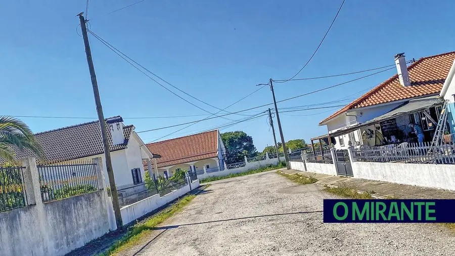 Santos da casa…