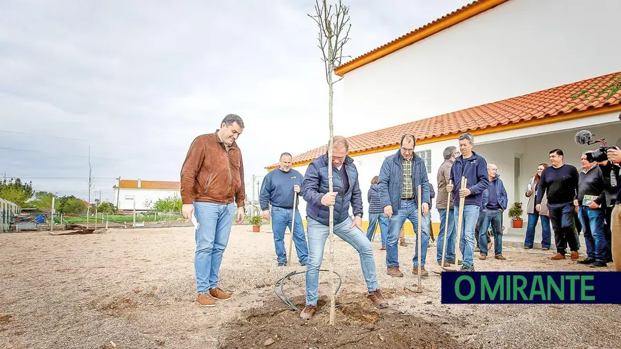 Antiga escola do Crucifixo ganha nova vida