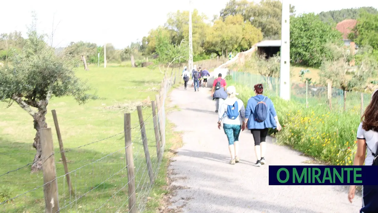 Sardoal assinala Dia Nacional dos Moinhos com caminhada, artesanato e jogos tradicionais