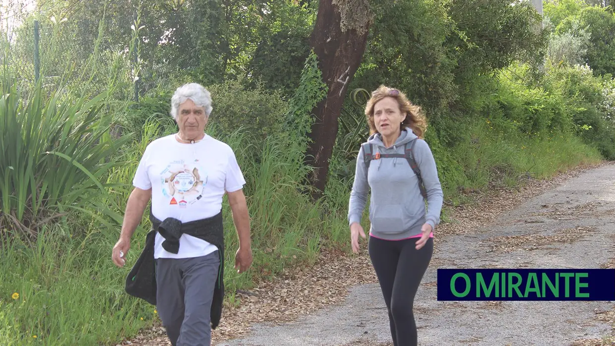 Sardoal assinala Dia Nacional dos Moinhos com caminhada, artesanato e jogos tradicionais