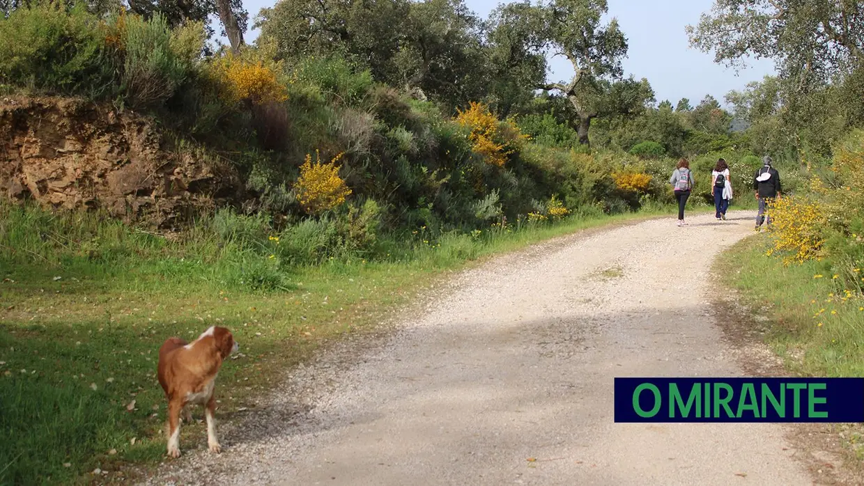 Sardoal assinala Dia Nacional dos Moinhos com caminhada, artesanato e jogos tradicionais