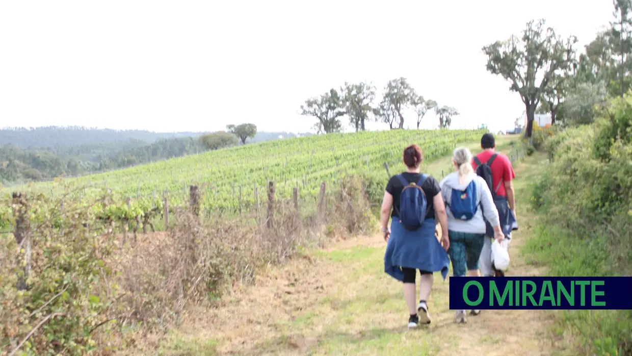 Sardoal assinala Dia Nacional dos Moinhos com caminhada, artesanato e jogos tradicionais