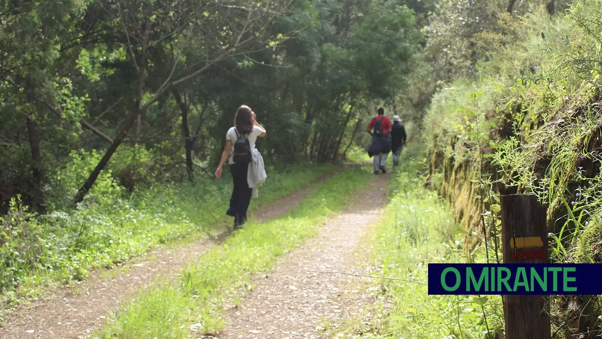 Sardoal assinala Dia Nacional dos Moinhos com caminhada, artesanato e jogos tradicionais