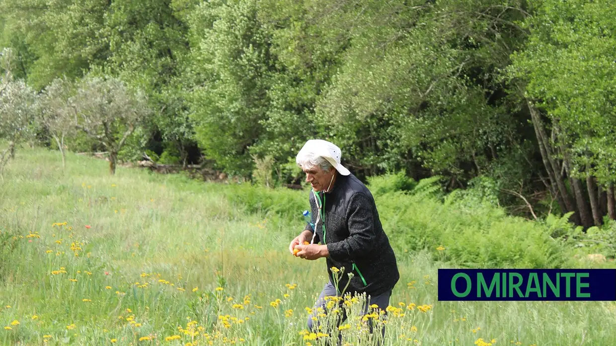 Sardoal assinala Dia Nacional dos Moinhos com caminhada, artesanato e jogos tradicionais