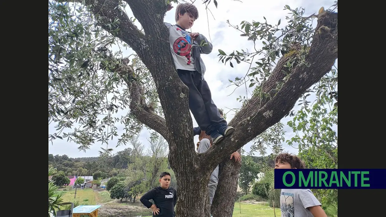 Parreira e Foros do Arrão celebram Dia dos Moinhos com convívio entre comunidades