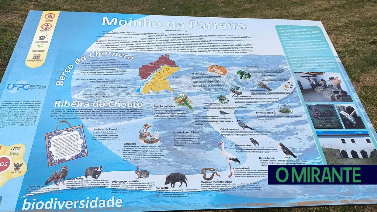 Parreira e Foros do Arrão celebram Dia dos Moinhos com convívio entre comunidades