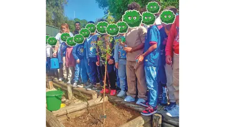 O mundo virado do avesso