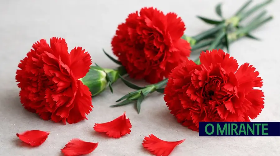 25 de Abril cravos ilustrativ