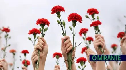 cravos 25 de abril ilustrativ