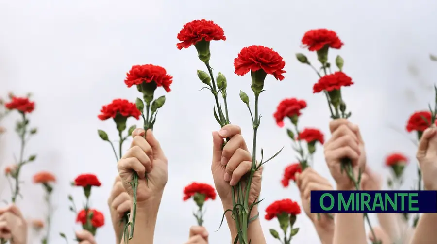 cravos 25 de abril ilustrativ