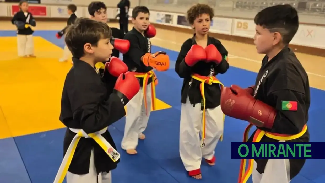 Academia de Artes do Combate celebra graduações em Tomar