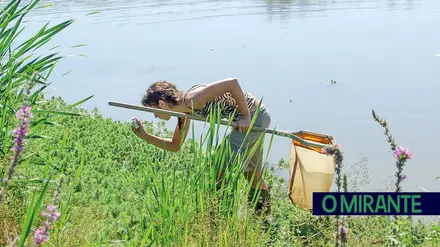 Paul da Goucha põe Alpiarça no mapa mundial da biodiversidade