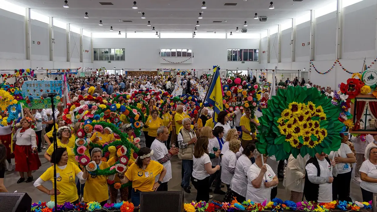 Festa da flor juntou mais de mil idosos em Vila Franca de Xira
