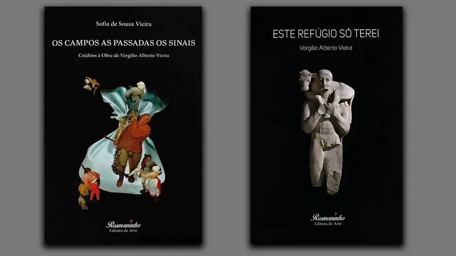 Vergílio Alberto Vieira: o poeta da palavra culta