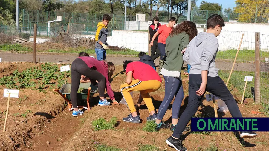 Hortas escolares vão transformar-se em salas de aula ao ar livre