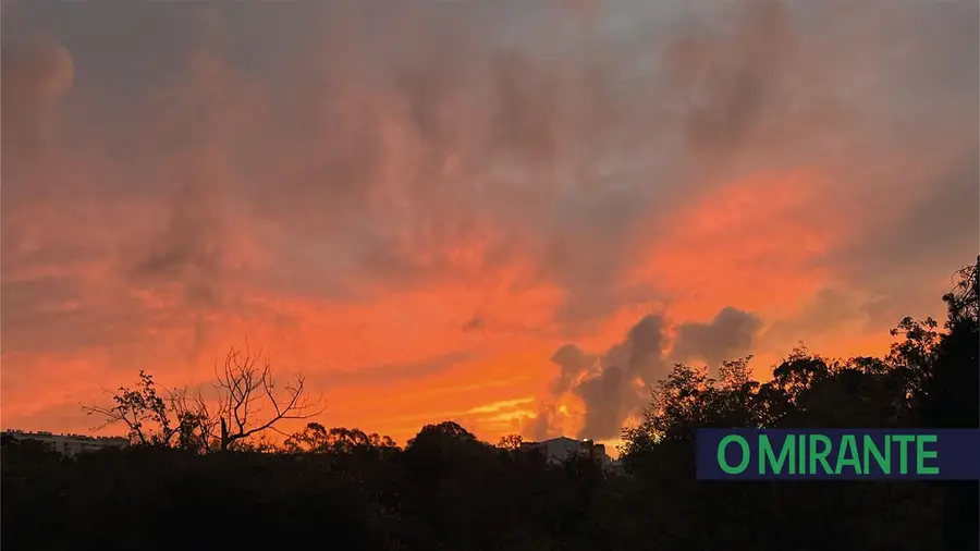 O petróleo do Ribatejo