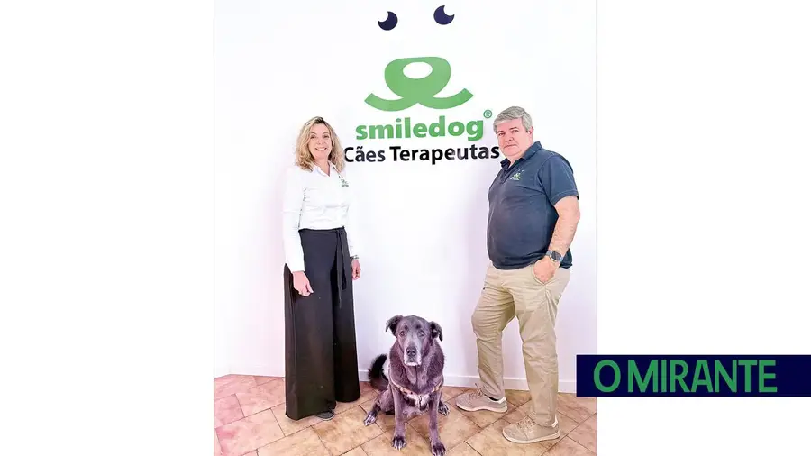 Smiledog aposta em cães como parceiros na promoção do bem-estar e da saúde emocional