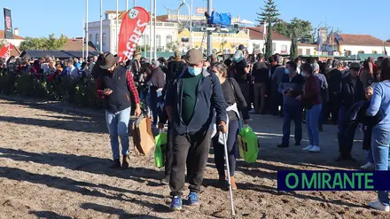 Detido suspeito de esfaquear homem durante a Feira da Golegã