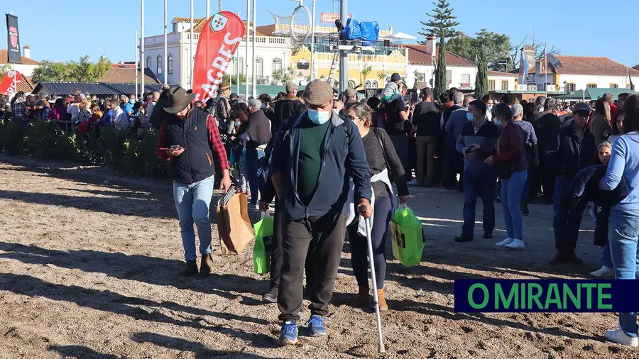 Detido suspeito de esfaquear homem durante a Feira da Golegã