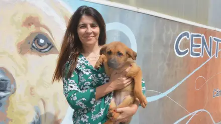 Veterinária é uma profissão de vocação e desafios mas impacto silencioso na sociedade