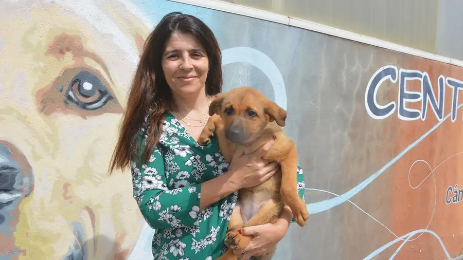 Veterinária é uma profissão de vocação e desafios mas impacto silencioso na sociedade