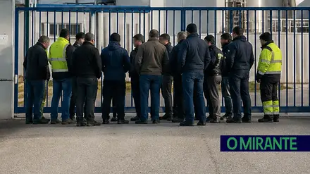 greve ilustrativ fabrica