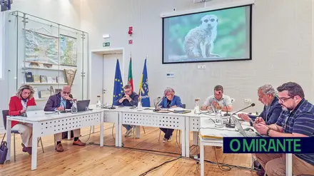 Suricata toma lugar no executivo