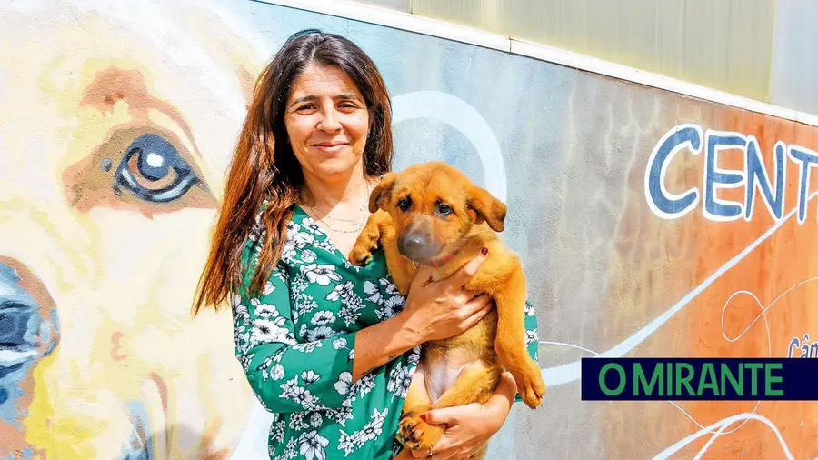 A medicina veterinária é uma profissão com elevado desgaste emocional
