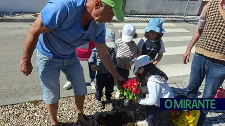 Roubadas flores plantadas por crianças e seniores no Pinheiro Grande