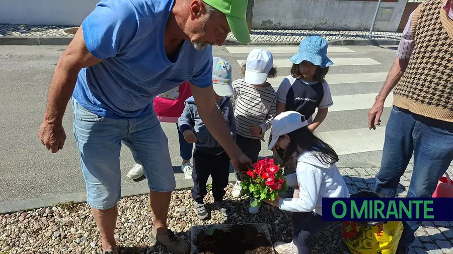 Roubadas flores plantadas por crianças e seniores no Pinheiro Grande